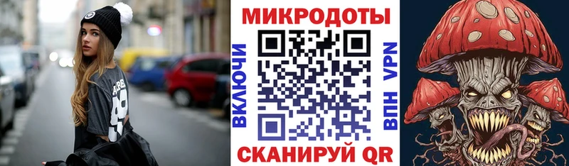 Галлюциногенные грибы Psilocybe  Новомосковск 
