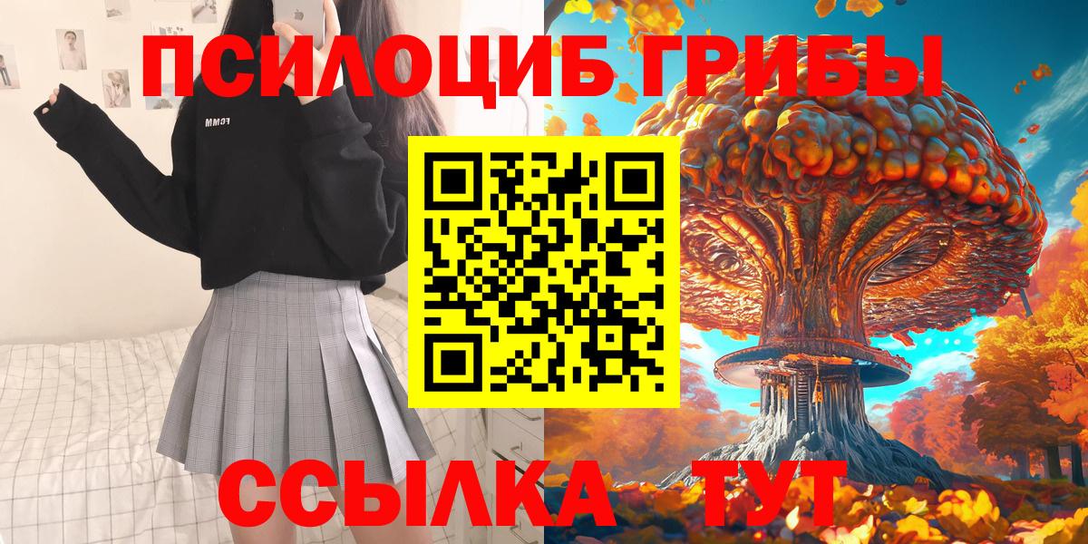 Псилоцибиновые грибы GOLDEN TEACHER Новомосковск