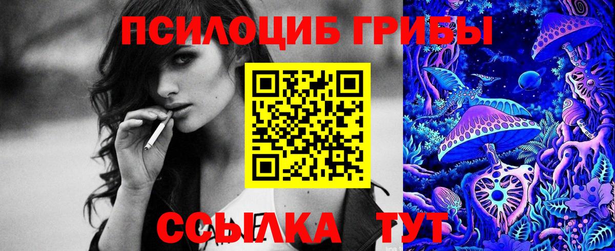Галлюциногенные грибы MAGIC MUSHROOMS  Вход с VPN  Новомосковск 